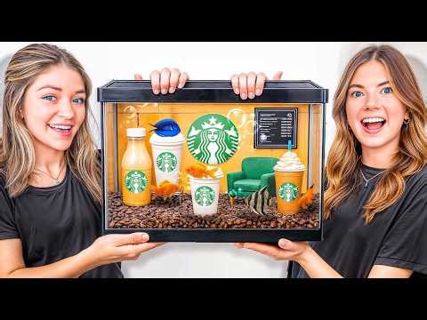 Make The Best Fish Tank Win $1,000!