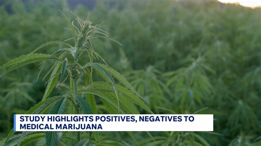 Study highlights positive, negatives of medical marijuana