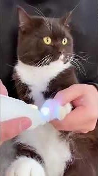 LED Pet Nail 2-in-1 Clipper + Grinder