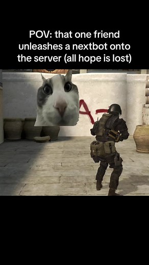 This cat is my favorite #garrysmod #gmod #nextbot #garrysmodmemes #gmodnextbot #gmodmemes #gmodchasing #nextbotchasing #nextbotchase #gmodtiktok #garrysmodnextbot #gmodscary #gmodtrolling #fyp