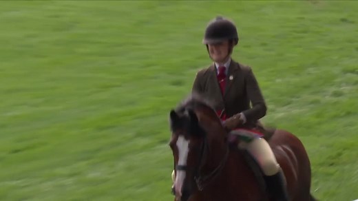 7.2K views · 143 reactions | Good luck to everyone showing Welsh Ponies, Cobs and Welsh Part Breds at the Royal Welsh Show starting next week. | The Welsh Pony and Cob Society | Facebook