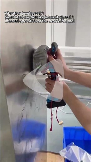 PTDGA5 iDGA SESIMIC Vibration Simulation Video