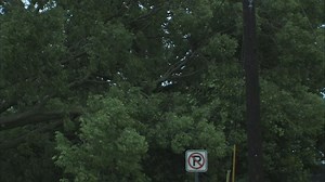 June weather recap - what's with all the 90s and the wind?