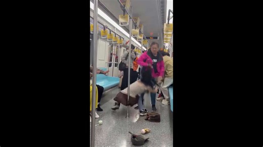 Hot-headed passengers fight over seat on subway train in China