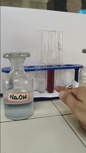 Natural Indicator | Hibiscus Flower Indicator|Acid Base Indicator | Class 10 Science