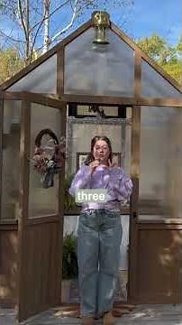 3 reasons I chose this greenhouse as my photography studio 🌿📸