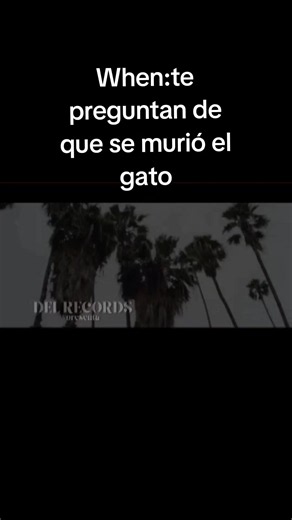 #t3relemento #viral | t3relementoofficial