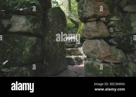 Personal perspective view walking up ancient stone stairs and through a mossy passage in a forest Stock Video Footage - Alamy