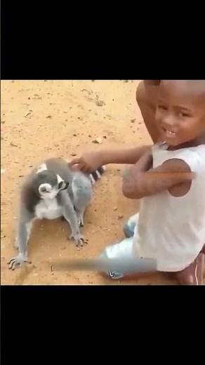 😂 Funny Comedy - Tulu