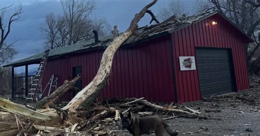 Community support pours in for Logan coffee shop after tree damages roaster building