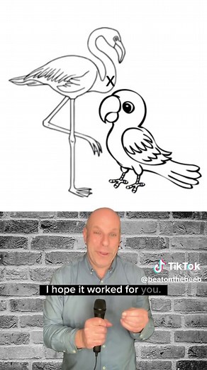 Optical Illusion: Color Correction of Birds