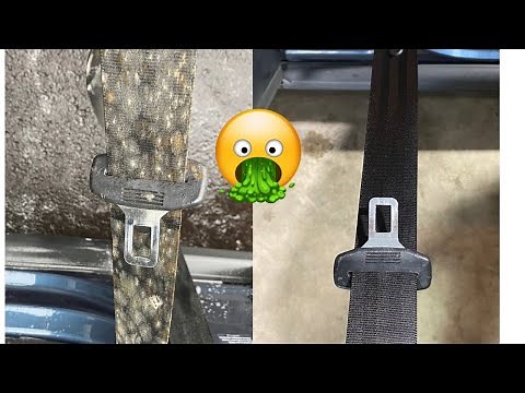 Detailer Vlog Episode 14 "MOLD REMOVAL!"