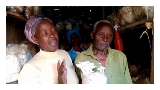 1.2K views · 18 reactions | In #partnership with CMS-Africa in #Kenya, Episcopal Relief & Development supports income-generating activities such as mushroom #farming. In this video, a husband and wife share how they started #farming mushrooms as a way to feed their family. https://www.episcopalrelief.org/program/agriculture/ | Episcopal Relief & Development | Facebook