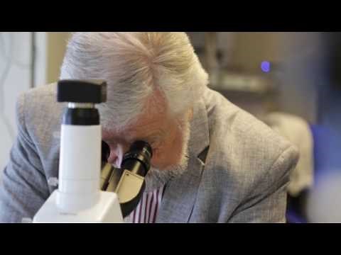 Brunel Microscopes : A Company Overview