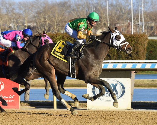 Aqueduct Picks | Maddie May Stakes 2024