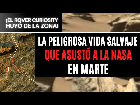 La PELIGROSA vida salvaje de Marte que ASUSTÓ A LA NASA
