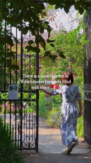 Secret Garden in West London currently in bloom with roses 🌹🌺