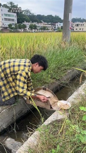 Master the Art of Crossing-the-Bridge Rice Noodles