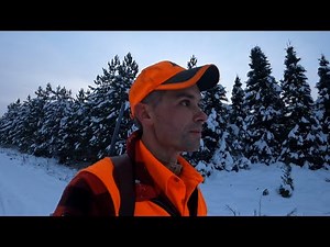 Maine Deer Camp 2022 (Part 1) | Bucks, Bucks and More Bucks!