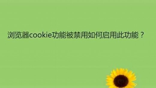 浏览器cookie功能被禁用如何启用此功能？