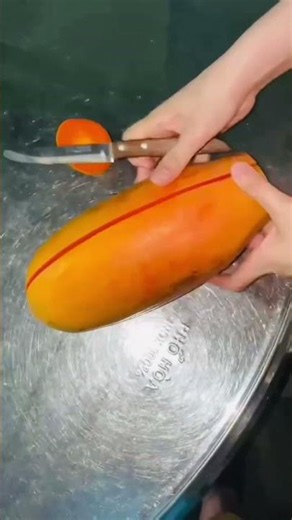 Trái đu đủ dài chín cây này ngon quá