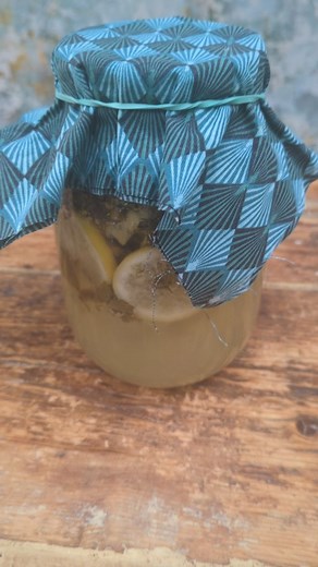 My pineapple weed soda was a bit slow to start fermenting so I added a tablespoon of plain kombucha to give it a wee kickstart, and in 24 hours it was all bubbly and active! Sometimes ferments need a wee helping hand! I have now strained it into bottles and it's super fizzy and delicious! I added 60g of sugar, 1.25 litres water, a sliced organic lemon, a slice of fresh pineapple, 2 bay leaves, a few sprigs of lemon balm and a big handful of pineapple weed chopped up to my jar. Roughly to fill th