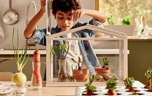 Gardening for children: teach them how to grow