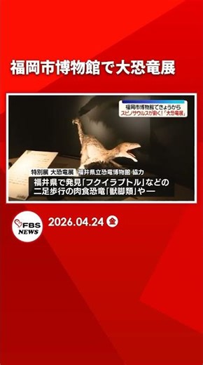 Come and see "Fukuiraptor" and "Spinosaurus"! The Great Dinosaur Exhibition begins at Fukuoka Cit...
