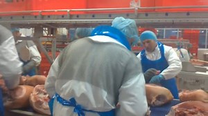 Stiu ca ai lucrat si tu in abator sau ca vrei sa lucrezi, indiferent de situatie poti sa te angajezi si tu in Olanda la abator. Profită de oportunitate ! Inscrie-te aici http://twgleader.com/ | Locuri de munca in strainatate