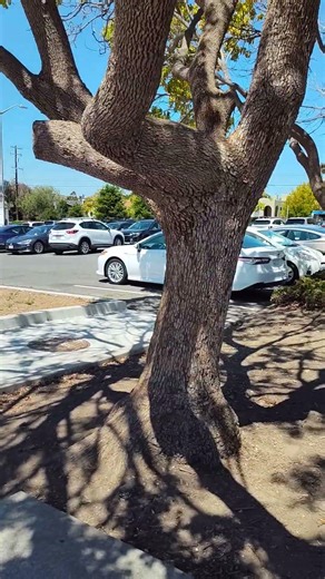 #360 #berkeley #california #views#bart #fullview