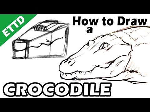How to Draw a Crocodile - Easy Things to Draw