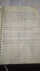 Digestion of food nutrients is completed in the jejunum. Jejunu... | Filo