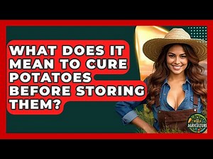 What Does It Mean To Cure Potatoes Before Storing Them? - The World of Agriculture