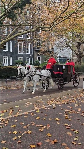 Iconic Carriages: Their history and Parade Role🇬🇧