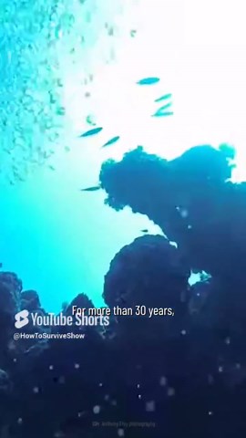 What Makes the Blue Hole One of the World’s Most Dangerous Dives