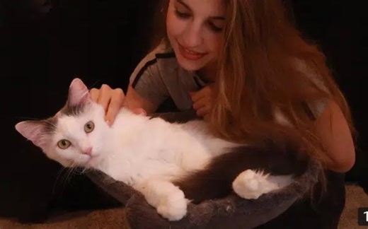 【FrivolousFox】|小猫咪的助眠|Petting, Soft Whispers ~