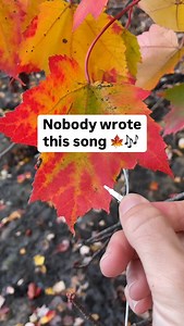 Nobody wrote this song. It’s simply electrical signals of a maple tree graphed as a wave and and the frequency of the wave translated to pitch. As a plant moves water through its system, electrical changes can be detected. Each of these changes is represented as a note using a PlantWave. PlantWave’s free app allows you to select what instruments the plant plays. Order today at PlantWave.com What plant will you listen to with PlantWave? What instruments will you choose? #autumn #fall #forestcore 