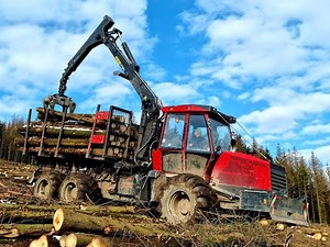 🌲 *The knight in forest* • Ritter R220-6 • Rückezug • Forwarder • Kampf dem Käfer • Part-1 🌲