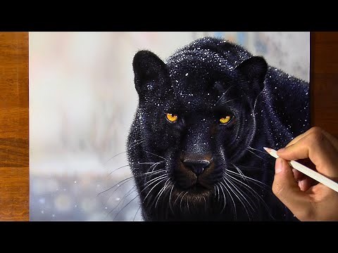 Black Jaguar Drawing