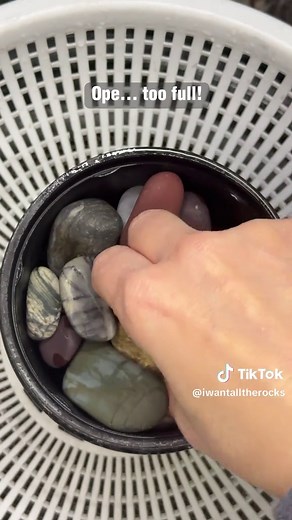 I Want All The Rocks on TikTok