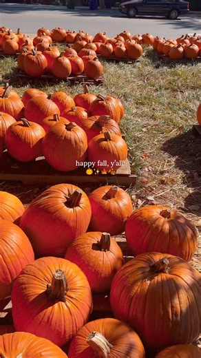 Pumpkin Patches Opening Soon in Dunwoody, Georgia | Fall 2026