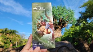 New Theme Park Map at Disney's Animal Kingdom | Chip and Company