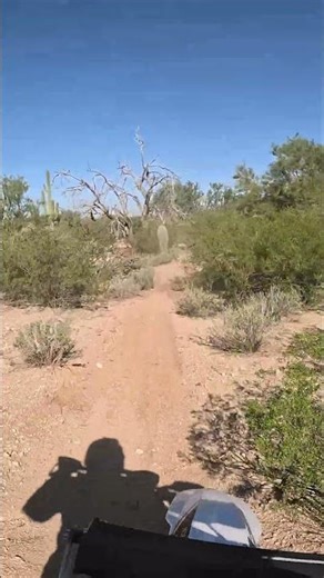 Fun In Marana