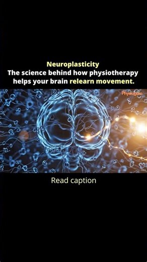 Neuroplasticity — the science behind how physiotherapy helps your brain relearn movement.