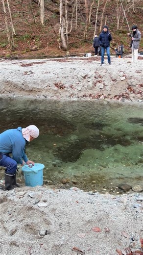 3M views · 5.5K reactions | 三依渓流つり場オフィシャルブログ「二代目のつぶやき」を更新しました。...