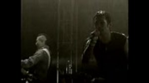 DOG FIGHT　激しい雨に打たれて