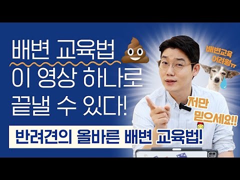 강아지 배변 교육 확실한 방법 알려드릴게요! 🚽 l 배변 교육법 l 설채현 행동학 수의사