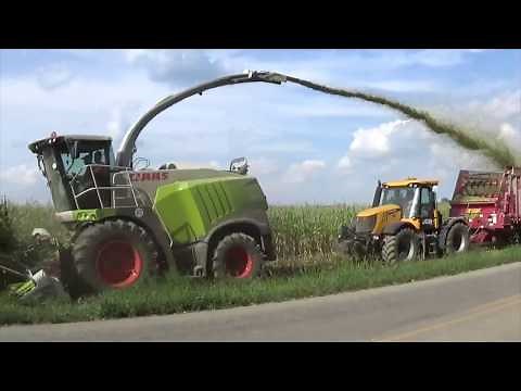 Chopping Corn Silage near Versailles Ohio - August 2017
