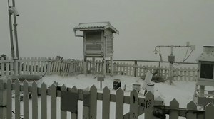 5.1K views · 251 reactions | Snow seen falling on Taiwan's tallest peak as cold air mass strikes https://www.taiwannews.com.tw/en/news/4158903 | Taiwan News | Facebook