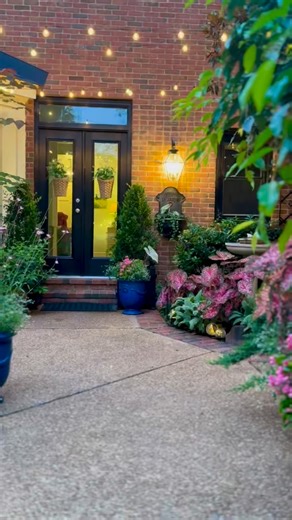 3.7K views · 2.1K reactions | Series: The Garden at Night # 4 The rest of the Patio Garden in June. #patio #patiogarden #eveningwalk #nightwalk #mygarden #gardening #gardener #inmygarden #gardenlove #gardenlife #inthegarden #mygardentoday #gardendesign #gardendecor #backyard #caladium #foliage #begonia #containergarden | Thepsychgarden | Facebook